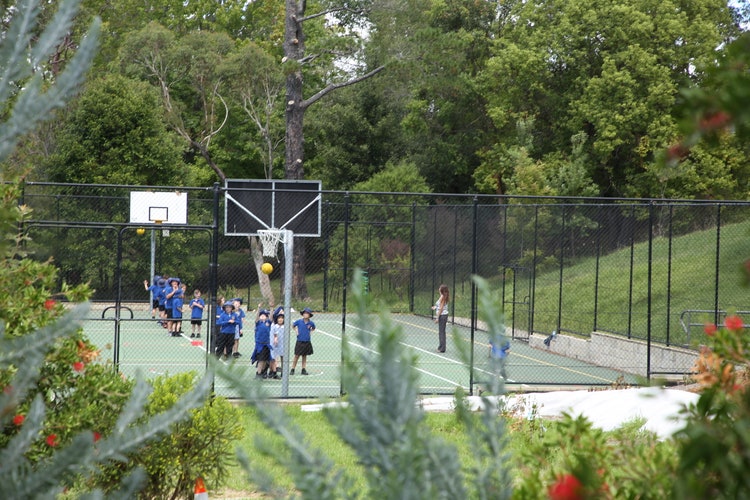 A basketball game set in a leafy aspect