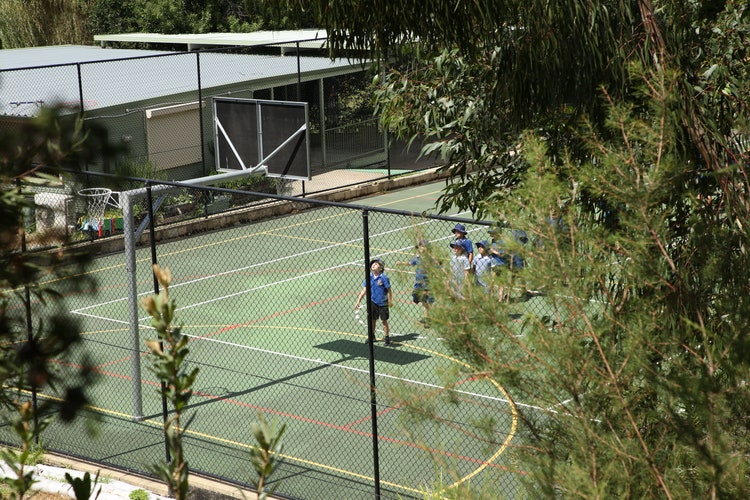 Looking down to our Multi puprose court with students playing through some bushes